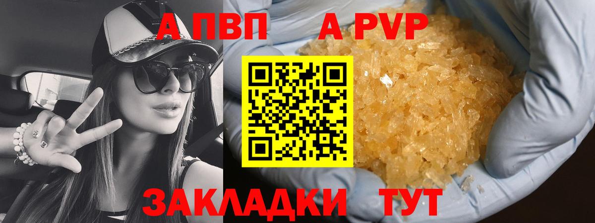 Альфа ПВП СК Заволжье