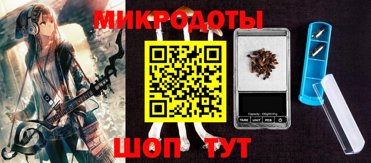 Заволжье  Псилоцибиновые грибы мухоморы  Вход с VPN  Псилоцибиновые грибы ЛСД 